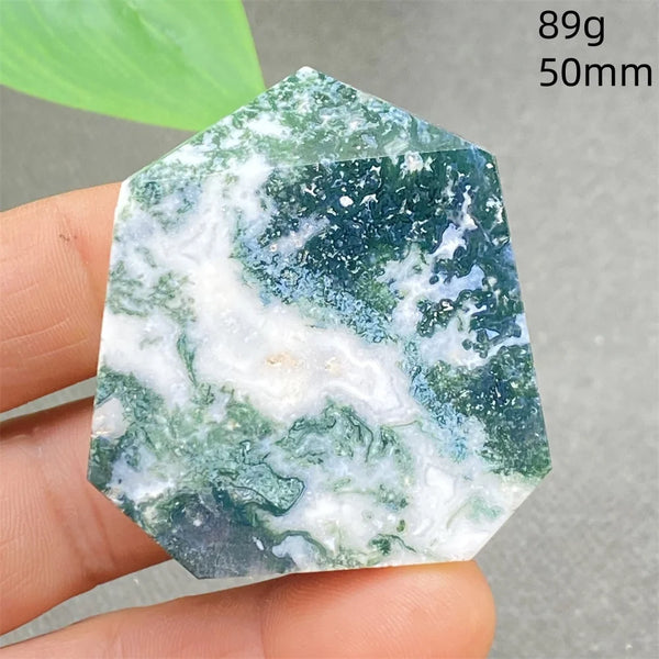 Green Water Plant Agate-ToShay.org