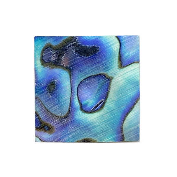 Blue Abalone Shell-ToShay.org