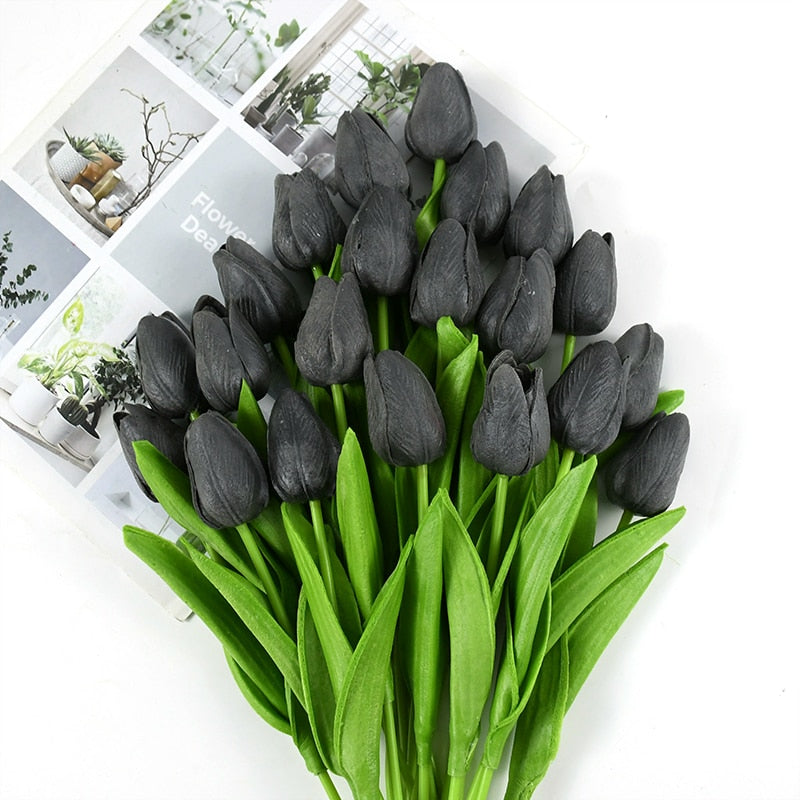 Tulip Flowers-ToShay.org