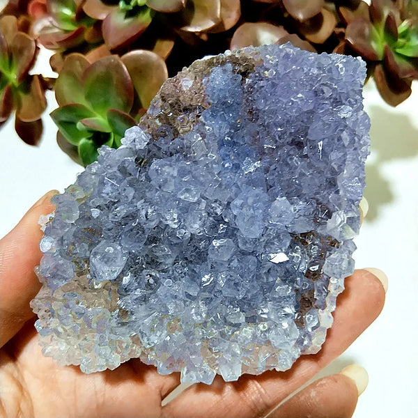 Purple Vision Mineral Crystal-ToShay.org
