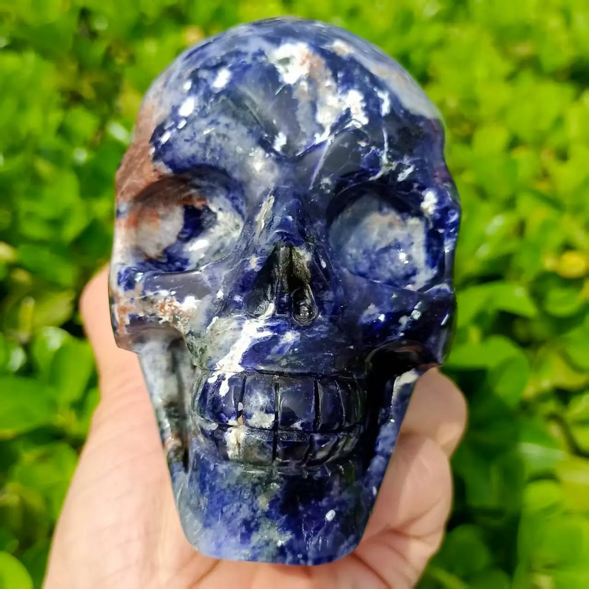 Blue Sodalite Skull-ToShay.org