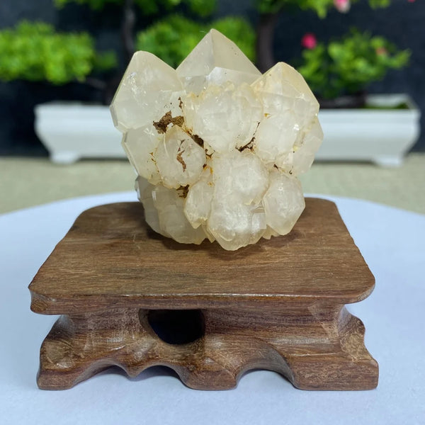 White Quartz Crystal Cluster-ToShay.org