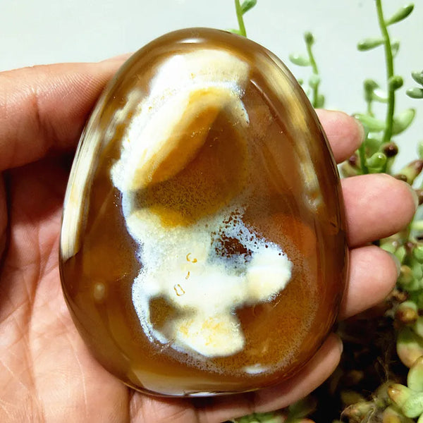 Mixed Lace Sardonyx Agate-ToShay.org