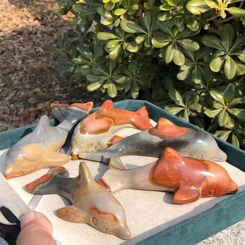 Ocean Jade Dolphin-ToShay.org