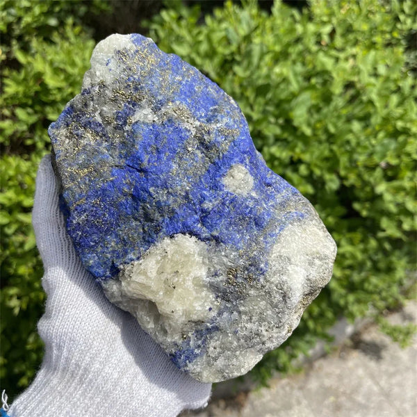 Blue Lapis Lazuli Raw Stone-ToShay.org