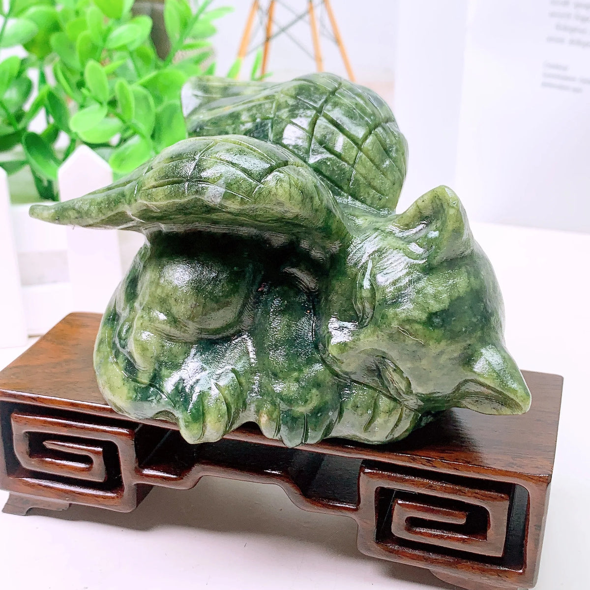 Green Jade Wing Cat-ToShay.org