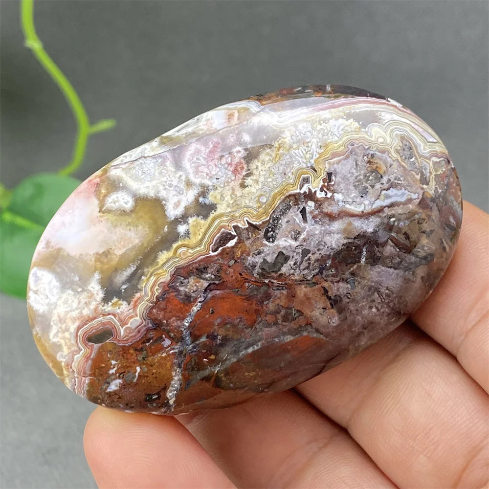Red Lace Crazy Agate-ToShay.org