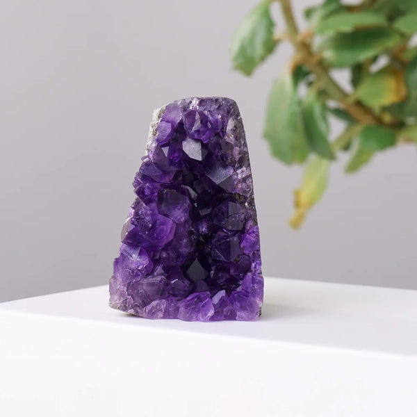 Purple Amethyst Cluster-ToShay.org