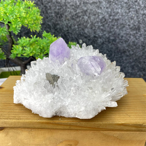 White Crystal Quartz-ToShay.org