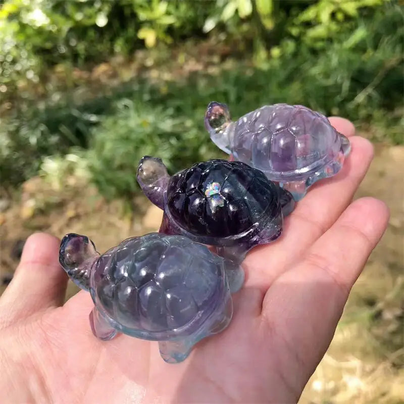 Rainbow Fluorite Turtle-ToShay.org