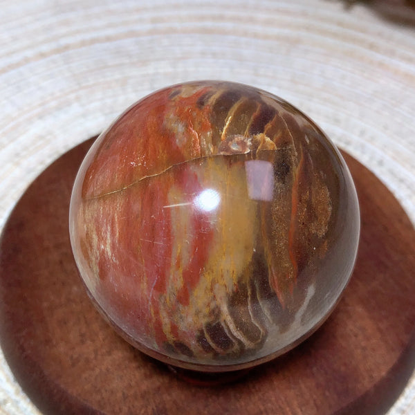 Brown Petrified Wood Ball-ToShay.org