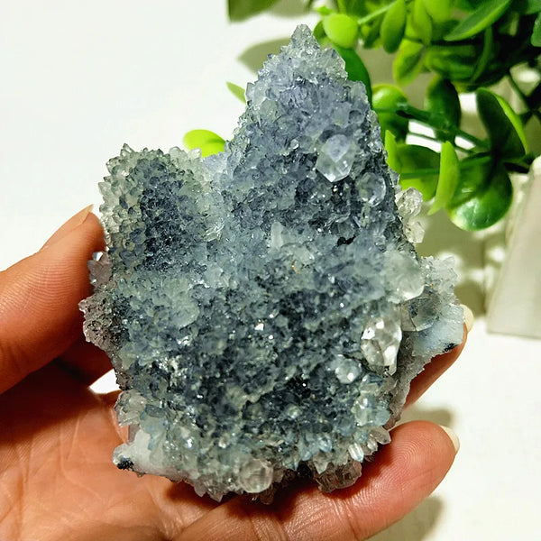 Blue Chrysanthemum Fluorite Cluster-ToShay.org