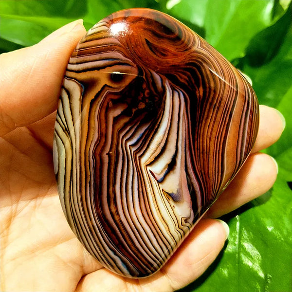 Red Lace Sardonyx Agate-ToShay.org