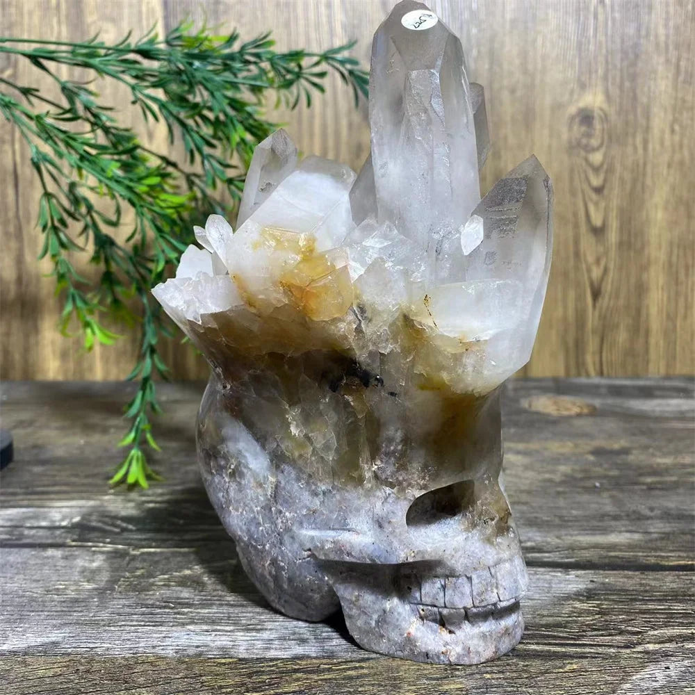 Clear Quartz Skull Cluster-ToShay.org