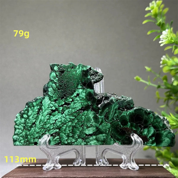 Green Malachite Slice-ToShay.org