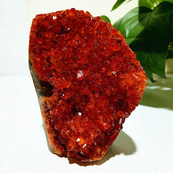 Orange Citrine Geode Cluster-ToShay.org