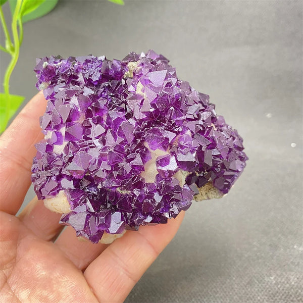Purple Amethyst Crystal-ToShay.org