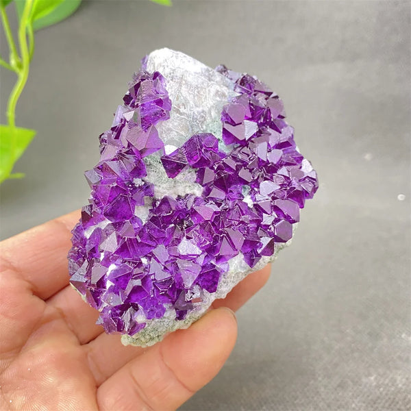 Purple Amethyst Crystal-ToShay.org