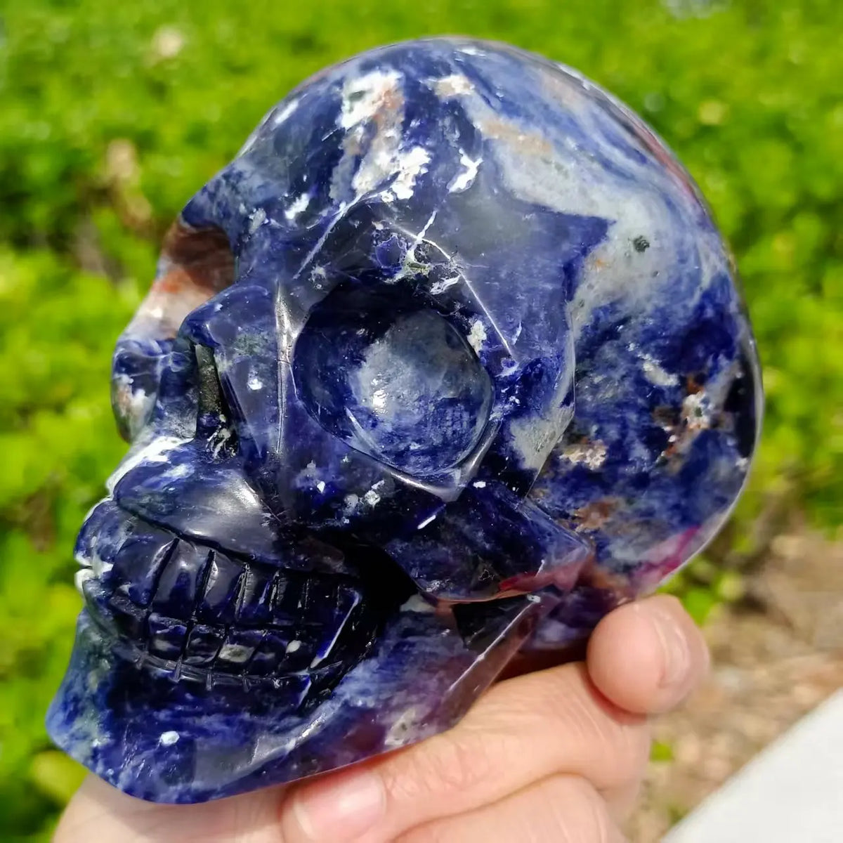 Blue Sodalite Skull-ToShay.org