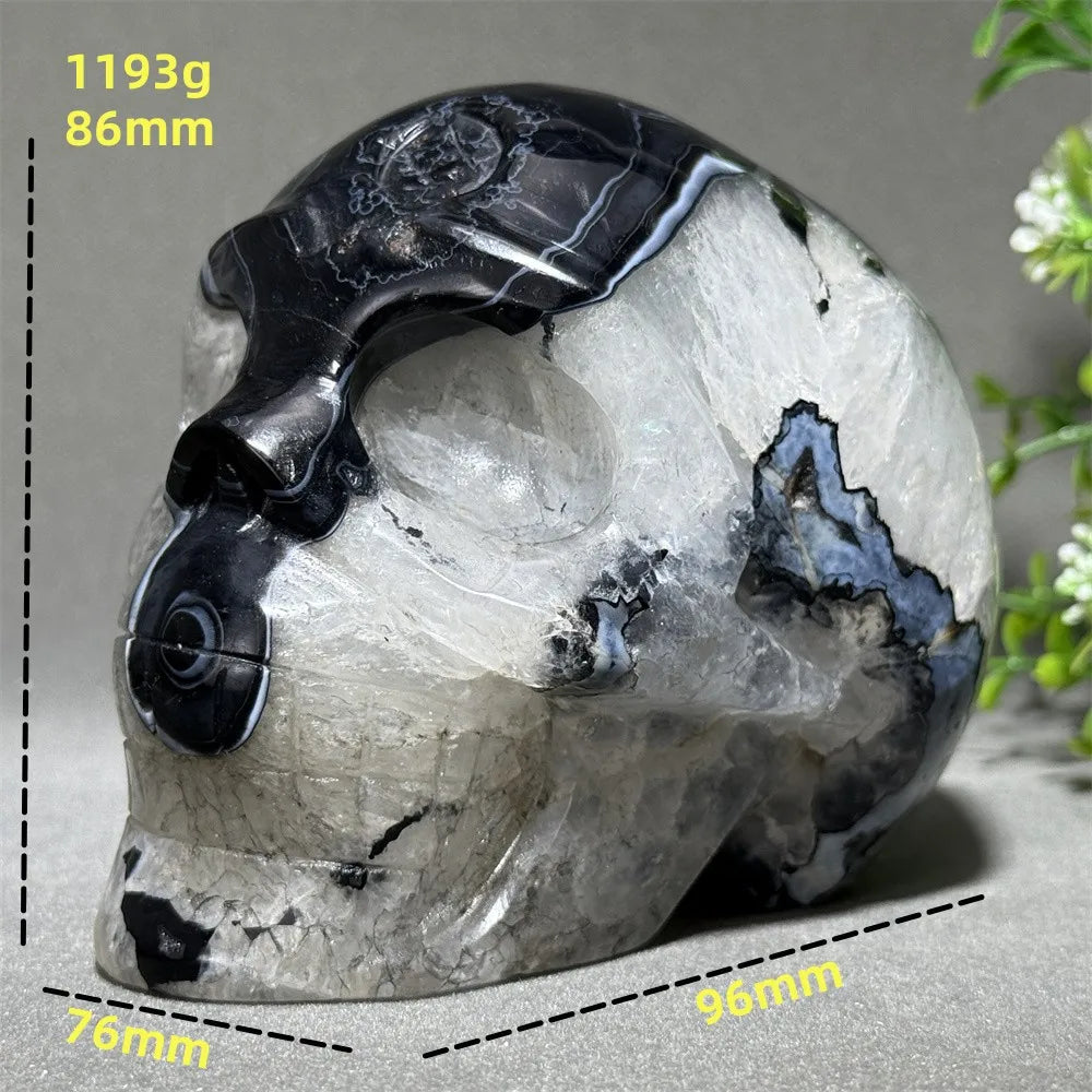 Black Agate Skull-ToShay.org