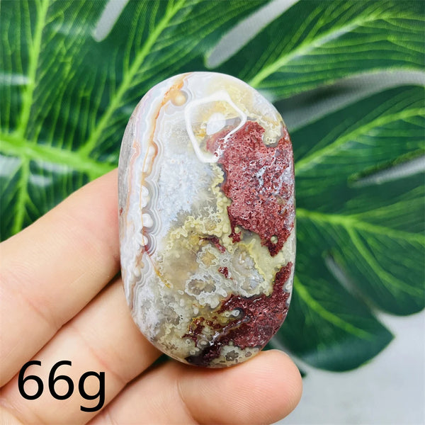 Red Crazy Agate Palm Stone-ToShay.org