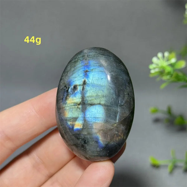 Blue Labrador Palm Stone-ToShay.org