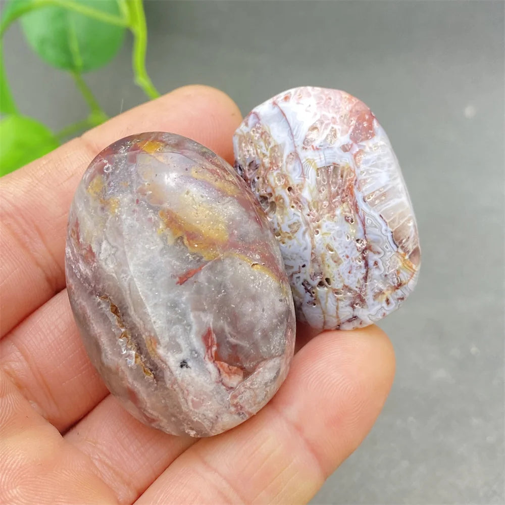 Red Lace Crazy Agate-ToShay.org