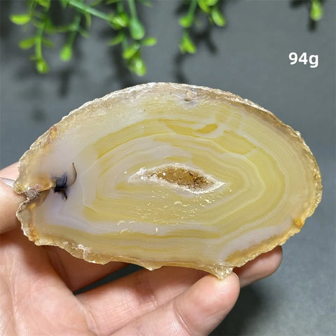 Yellow Agate Slice-ToShay.org