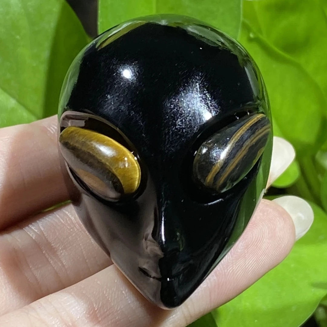 Mixed Crystal Alien Skulls-ToShay.org
