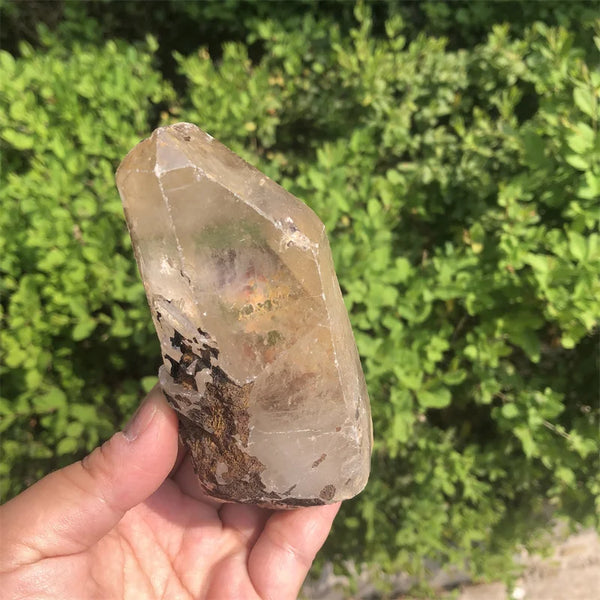 Clear Smoky Lemurian Seed-ToShay.org