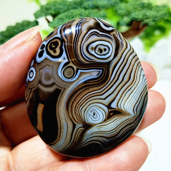 Red Lace Sardonyx Agate-ToShay.org