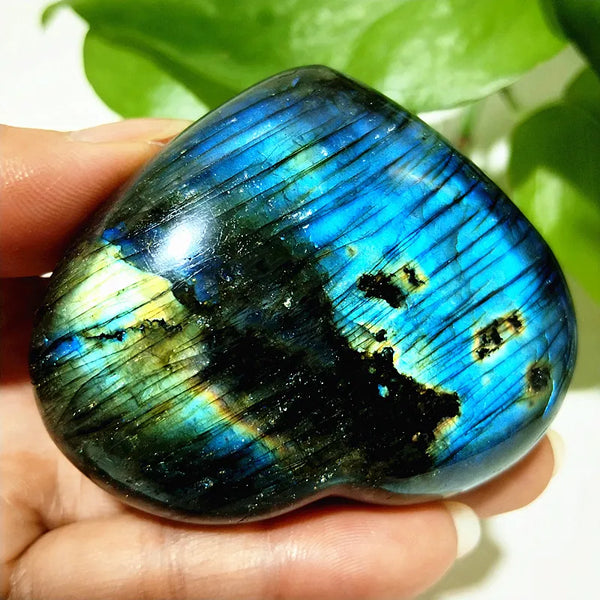 Blue Labrador Stone Heart-ToShay.org