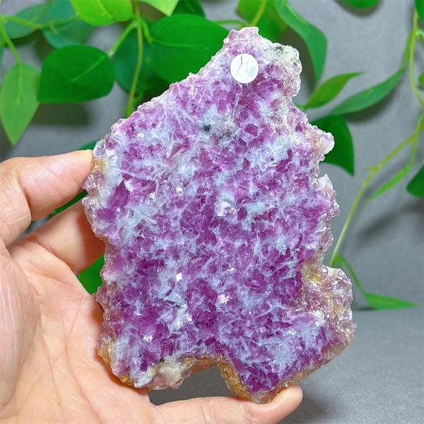 Purple Lepidolite Crystal-ToShay.org