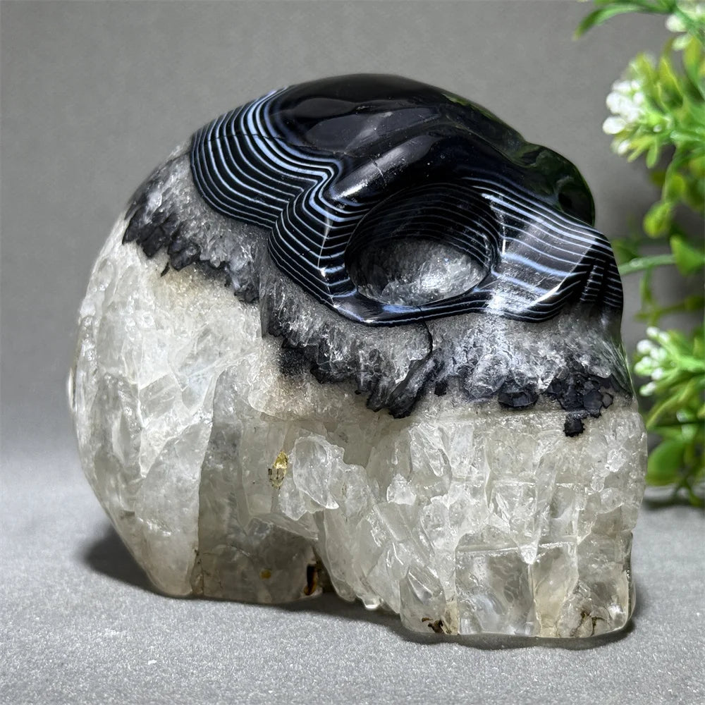Black Agate Skull-ToShay.org