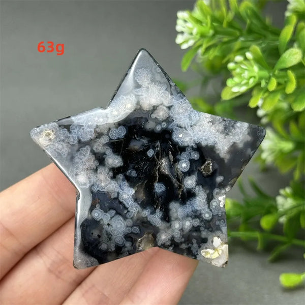 Black Cherry Blossom Agate-ToShay.org