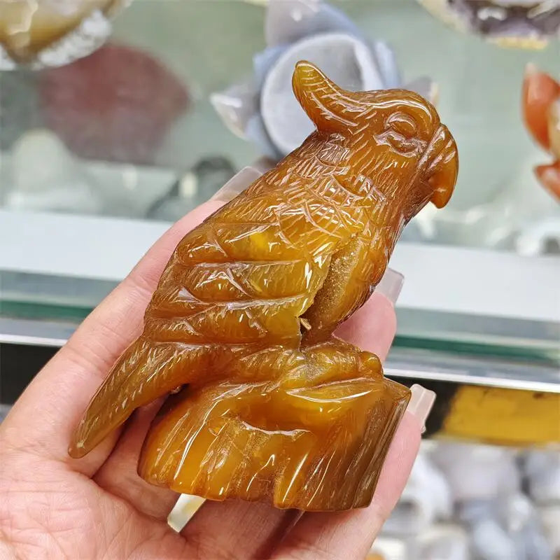 Yellow Agate Geode Parrot-ToShay.org