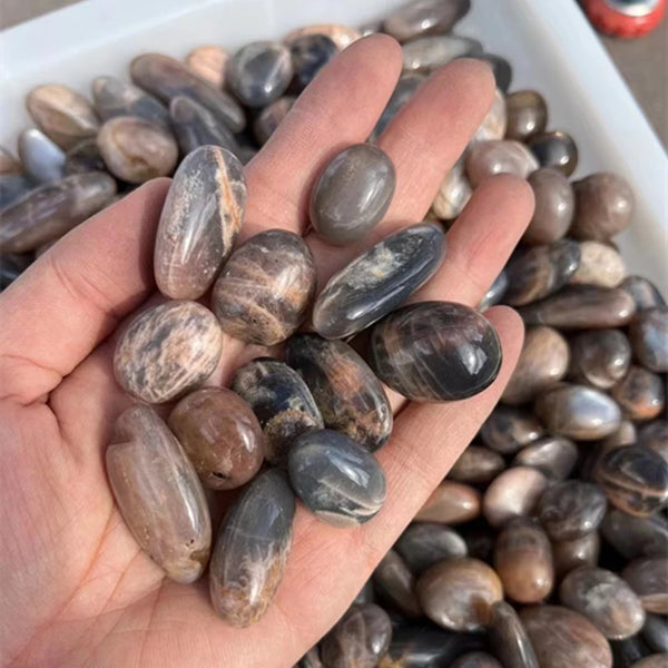 Black Moonstone Tumbled Stones-ToShay.org