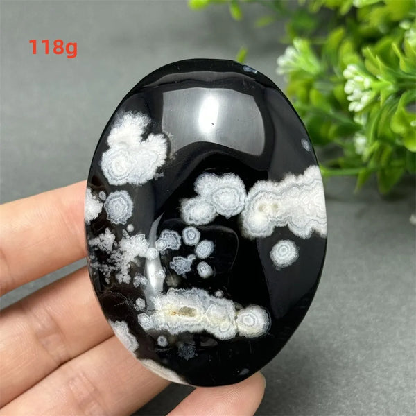 Black Cherry Blossom Agate-ToShay.org