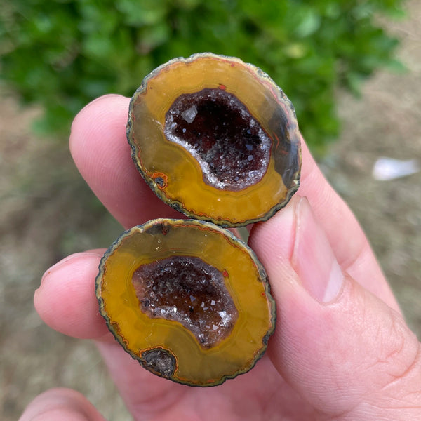 Red Sardonyx Geode Egg-ToShay.org