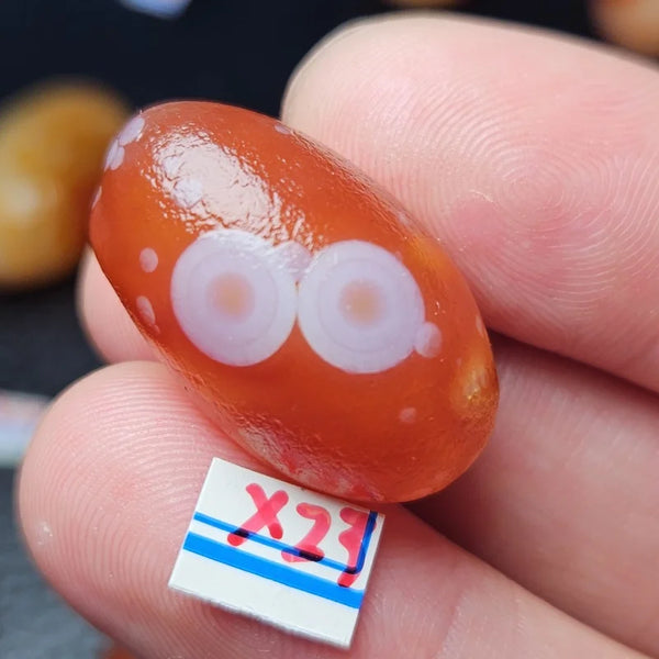 Mixed Gobi Alashan Agate-ToShay.org