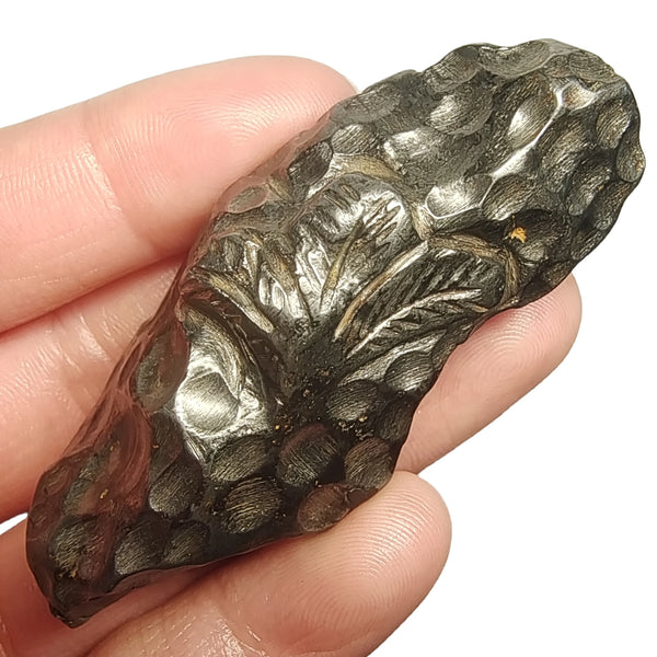 Iron Meteorite Stone-ToShay.org