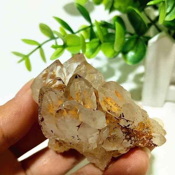 Yellow Mud Sparkling Clusters-ToShay.org