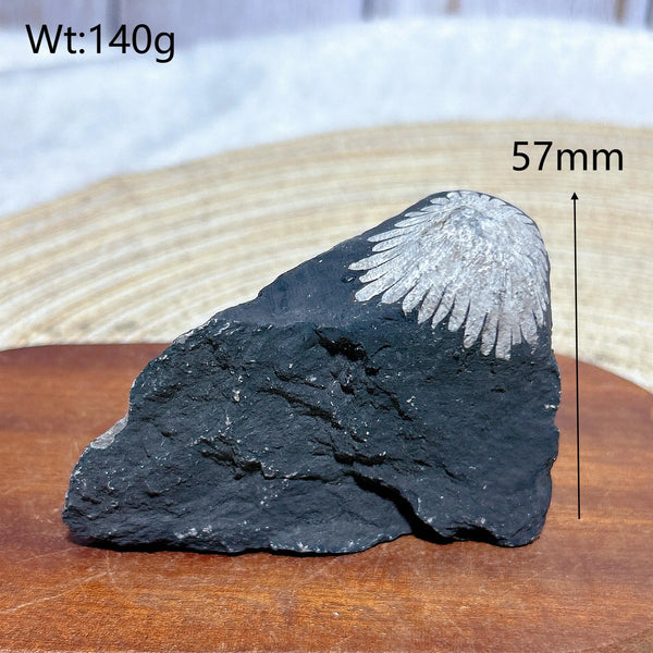 Black Chrysanthemum Raw Stone-ToShay.org