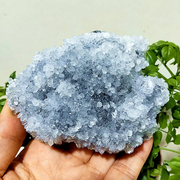 Purple Chrysanthemum Fluorite Crystal-ToShay.org