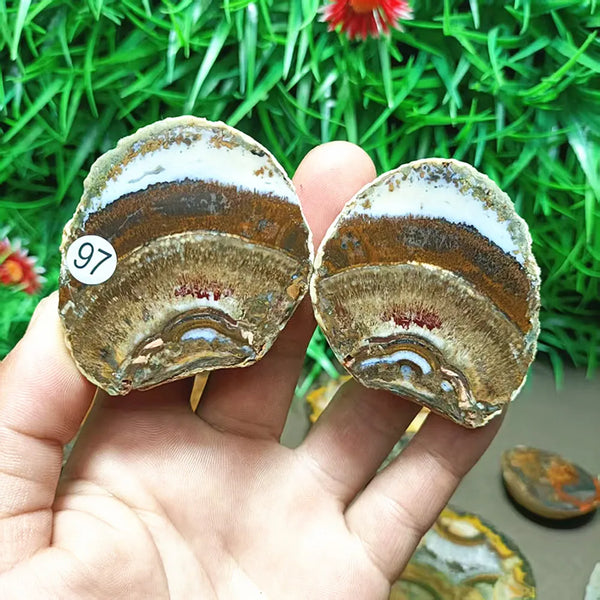 Mixed Crystal Agate-ToShay.org