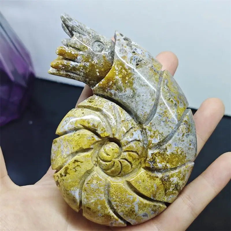 Ocean Jasper Conch-ToShay.org