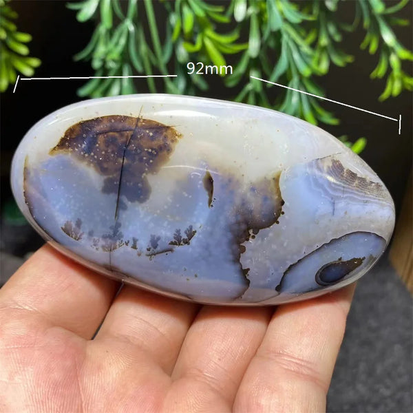 White Ink Moss Tree Agate-ToShay.org
