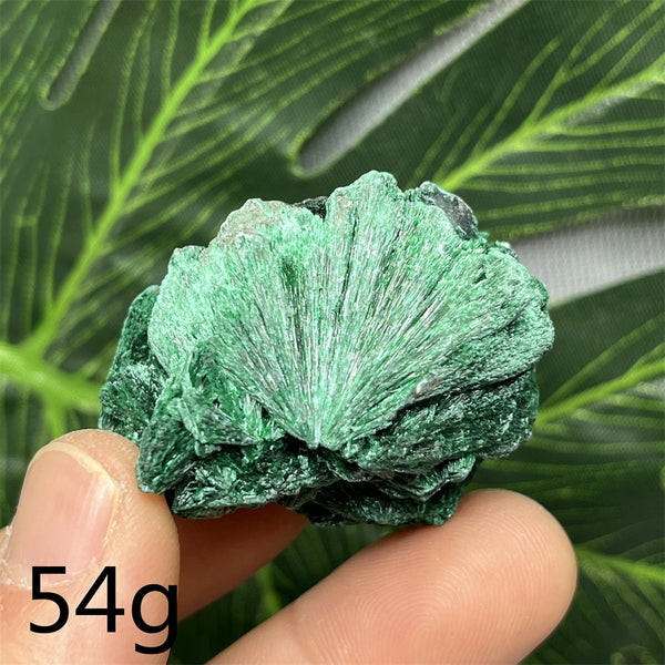 Green Malachite Silk Luster Crystal-ToShay.org