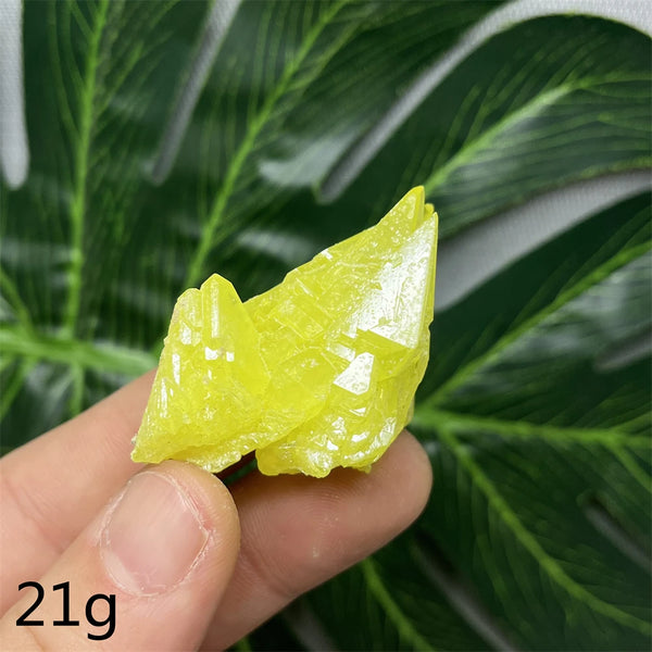 Yellow Sulfur Clusters-ToShay.org