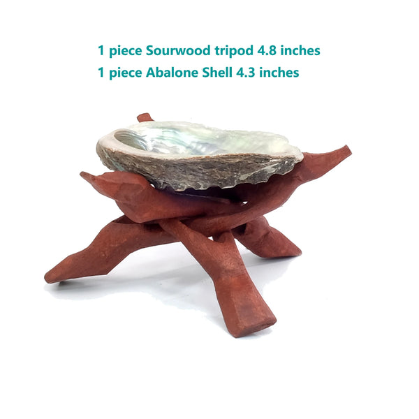 Abalone Shell Smudge Kit-ToShay.org